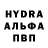 ГЕРОИН хмурый Hikkariy
