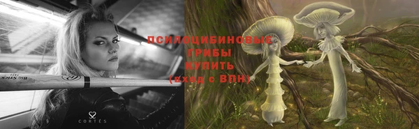 трава Белокуриха
