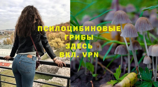 трава Белокуриха